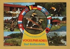 `Bird Paradise - Bad Rothenfelde` - Postally Unused - Cramers Art Institute Postcard.