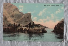 `Seal Rocks, Catalina Island, Cal` - Postally Unused - The Benham Co Postcard