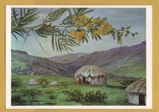 `The South African Doornboom (Acacia karroo) near King William`s Town` - Postally Unused - Kew Gardens Postcard.