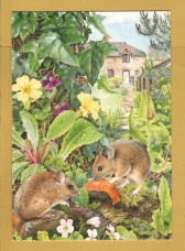 `The Secret Sharer by Rosalind Sanders` - Postally Unused - The Medici Society Postcard.