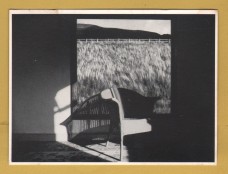 `GRASSLAND by Gary Waters` - Postally Unused - Athena Postcard.