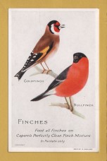 `Caperns - FINCHES, Feed all Finches Capern`s Perfectly Clean Finch Mixture` - Postally Unused - Company Postcard.