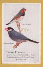 `Caperns - FOREIGN FINCHES, Feed on Capern`s Perfectly Clean Seed....` - Postally Unused - Company Postcard.