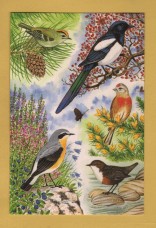 `British Birds - Common Birds of Hill-Country, Heath and Farmland by Michael Stringer` - Postally Unused - Michael Stringer Postcard.