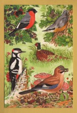 `British Birds - Common Birds of Woods and Hedgerow-Summer to Autumn by Michael Stringer` - Postally Unused - Michael Stringer Postcard.