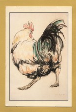 `Strutting Cockerel by Clare Norrington` - Postally Used-1997 - The Jerram Gallery Postcard.