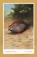 `Red-Legged Partridge by D.M.Henry 5150` - Postally Used - Valentine`s `D.M.Henry Game Bird` Series` Postcard.
