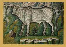 `Ravenna - Temple of San Vitale (6th cent) - Saint Luke (detail of Bull)` - Postally Unused - E.Salbaroli Postcard.