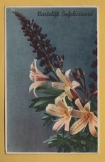 `Many Congratulations` - Postally Unused - Producer Unknown Postcard.