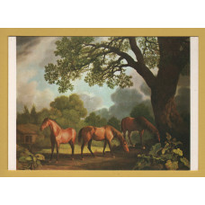 `A Colt and Two Chestnut Horses - George Stubbs` - Postally Unused - The Medici Society Postcard.