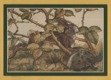 `Castell Coch: Drawing Room - The Hare and the Tortoise` - Postally Unused - CADW Postcard.