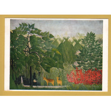 `The Waterfall - Henri Rousseau` - Postally Unused - The Medici Society Postcard.