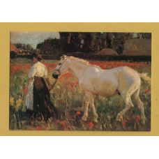`The Poppy Field - Sir Alfred Munn` - Postally Unused - The Medici Society Postcard.