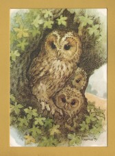 `Tawny Owls and Young by Anne Kearns` - Postally Unused - The Medici Society Postcard.