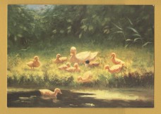 `Ducklings by the River`s Edge by Constant Artz` - Postally Unused - Woman`s Weekly Postcard.