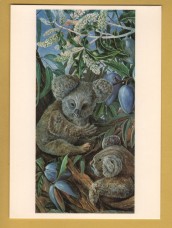 `Australian Bears or Koalas and Australian or Wooden Pears` - Postally Unused  - Kew Gardens Postcard.