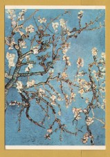 `Tree in Blossom by Vincent Van Gogh` - Postally Unused (although message written to rear) - Rijksmuseum, Amsterdam Postcard.