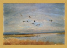 `Teal South Slob, Wexford by Robert Jobson` - Postally Unused (although message written to rear) - Robert Jobson Postcard.