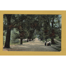 `Park Avenue, Greenwich Park` - Postally Unused - Charles Martin Postcard