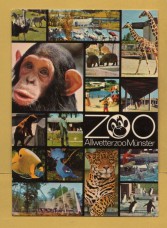 `ZOO - AllwetterzooMunster`- Postally Used - Zoo Postcard.