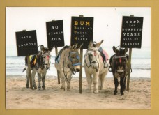 `Donkey`s Protesting`- Postally Unused - Beachcomber Cards Postcard.