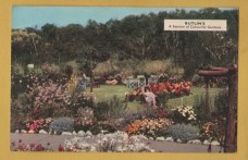 `BUTLIN`S - A Section of Colourful Gardens` - Postally Used-1964 - Clacton-on-Sea Butlin`s Postcard.