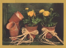 `WOMAN and HOME - Styled by Carolyn Bailey, Photography by Michelle Garrett`- Postally Unused - WOMAN and HOME. Postcard.