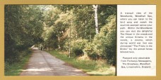 `A Limited Edition Postcard - A Tranquil View of the Woodlands, Woodhall Spa...`- Postally Unused - Noel Tatt Ltd Postcard.