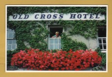 `OLD CROSS HOTEL - Verity at the Window - St David`s`- Postally Unused - Selina Postgate Postcard.