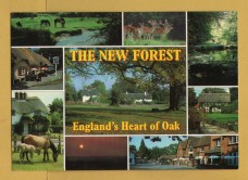 `THE NEW FOREST - England`s Heart of Oak`- Postally Unused - J.Salmon. Postcard.