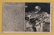 `Remarkable Discovery in Cheddar Caves`- Postally Unused - Chapman & Son Postcard.