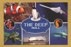 `The Deep - Hull`- Postally Unused - The Deep Postcard.