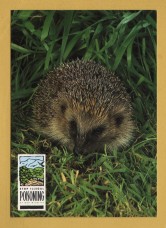 `Stop Illegal POISONING of Our Wildlife - Hedgehog`- Postally Unused - Department of the Environment. Postcard.