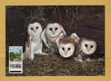 `Stop Illegal POISONING of Our Wildlife - Barn Owl`- Postally Unused - Department of the Environment. Postcard.