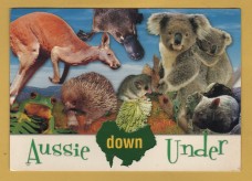 `Aussie Down Under` - Postally Used-2009 - Steve Parish Postcard.
