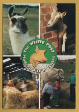 `The White Post Modern Farm Centre, Farnsfield, Nottingham`- Postally Unused - Centre Postcard.