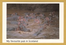 `My Favourite Pub in Scotland - SCOTLAND` - Postally Unused - Images of Britain Postcard.