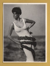 `Sea Belle by Avid Images` - Postally Unused - Athena Postcard.