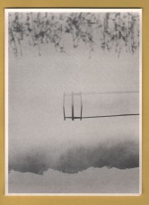 `Jetty by Jenifer Roberts` - Postally Unused - Athena Postcard. `Jetty by Jenifer Roberts` - Postally Unused - Athena Postcard.