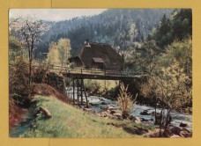 `Im Gutachtal` - Postally Unused - Muller Postcard.