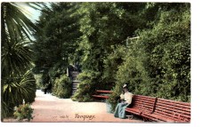 `Rock Walk, Torquay` - Postally Used - 1905 Postmark - F.Frith & Co. Postcard