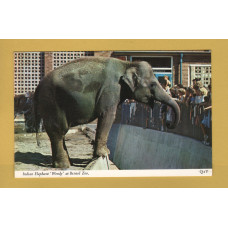 `Indian Elephant `Wendy` at Bristol Zoo` - Postally Unused - Harvey Barton Postcard.