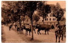 `Hohenkurort Hahnenklee i. Oberharz - Die Damenkapelle kommt.` - Postally Used - Goslar 30.7.09 Postmark - Louis Glaser Postcard