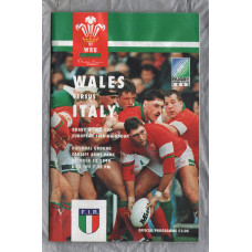`Rugby World Cup - European Seeding Group` - Wales vs Italy - Wednesday 12th October 1994 - Cardiff Arms Park
