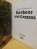 `Bamboos and Grasses: Simple Steps to Success` - Jon Ardle - Softcover with French Flaps - Dorling Kindersley - 2007