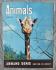 Animals - Vol.1 No.3 - 22 January 1963 - `Giraffes` - Purnell and Sons Ltd