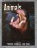 Animals - Vol.1 No.11 - 19 March 1963 - `The Hippopotamus` - Purnell and Sons Ltd