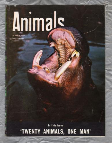 Animals - Vol.1 No.11 - 19 March 1963 - `The Hippopotamus` - Purnell and Sons Ltd