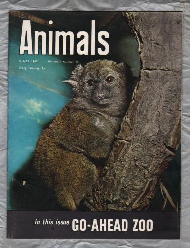 Animals - Vol.1 No.19 - 14 May 1963 - `Go-Ahead Zoo` - Purnell and Sons Ltd