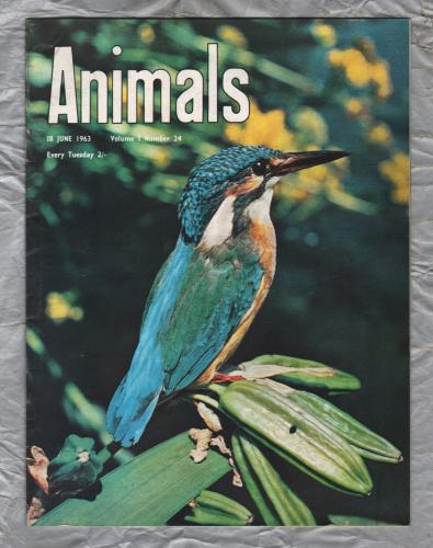Animals - Vol.1 No.24 - 18 June 1963 - `Wild Dogs of The Savannah` - Purnell and Sons Ltd
